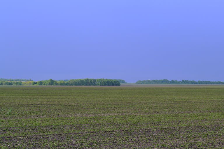 Expansive farmland stretching to the horizon with a clear blue sky and distant tree line.